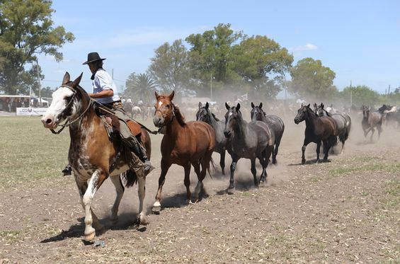 Découvrir la culture Gaucho