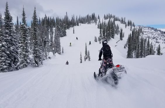 Go out on a snowmobile tour