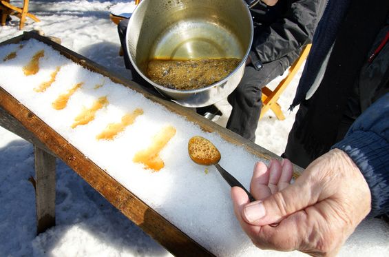 Visit a Sugar Shack