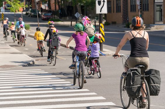 Cycle through the city