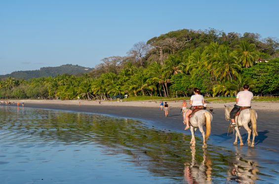 Go horse riding into the jungle