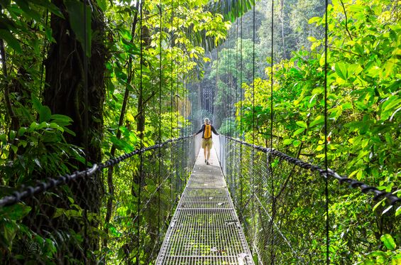 Trekking in the jungle