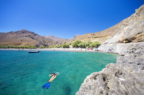 Swim in crystal clear waters in search of marine life