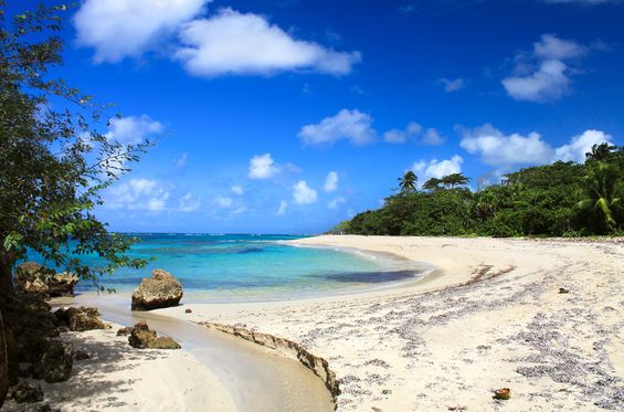 Laze on the beach