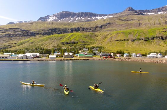 Kayaking in Hornstrandir peninsula