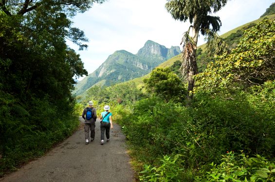 Hiking