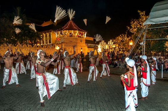 Attend a religious procession