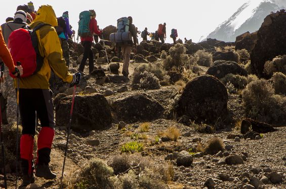 Climb Mount Kilimanjaro