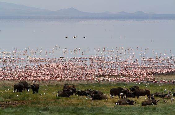 Bike rides around the north of Manyara Lake