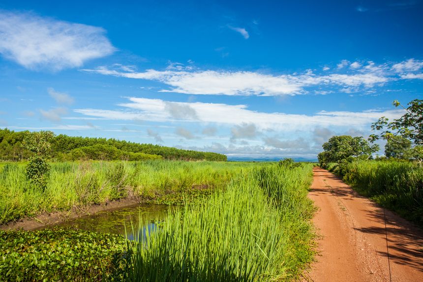 The Pantanal National Park