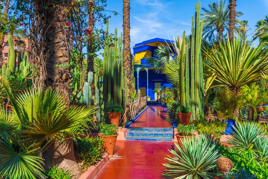 Majorelle garden