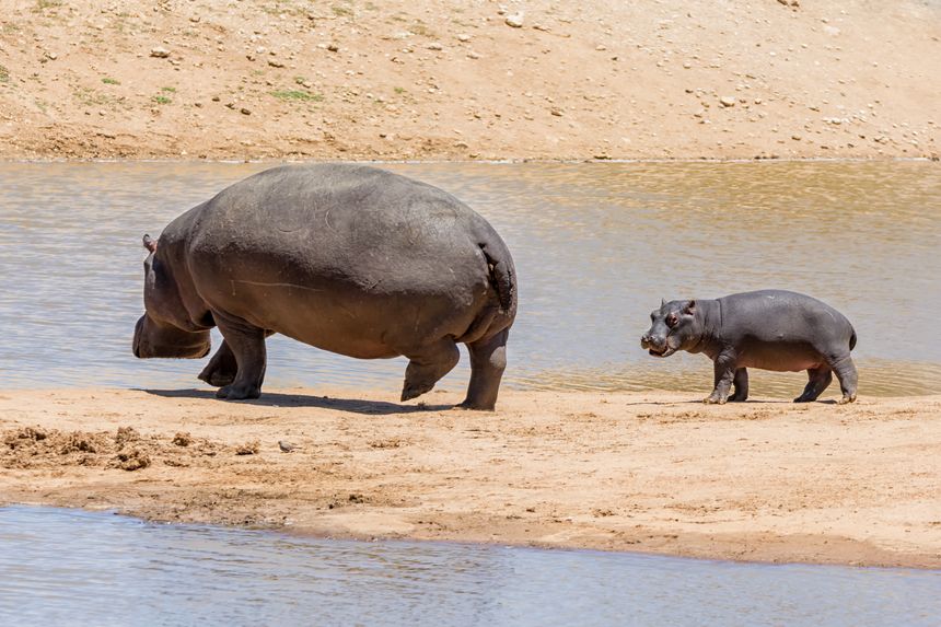 The Caprivi Strip