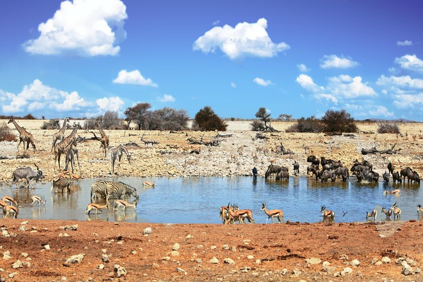 Etosha