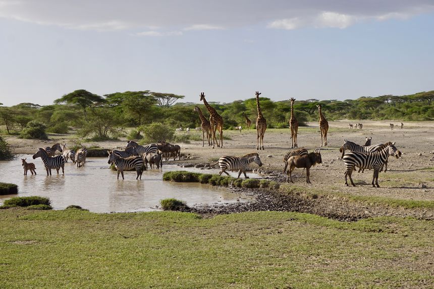 Serengeti National Park