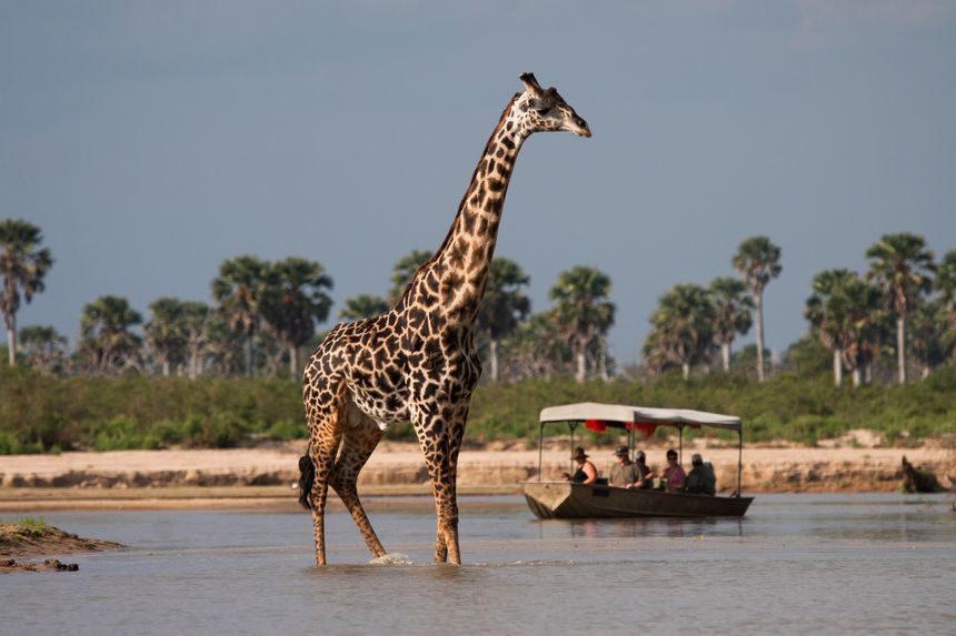 Selous Reserve