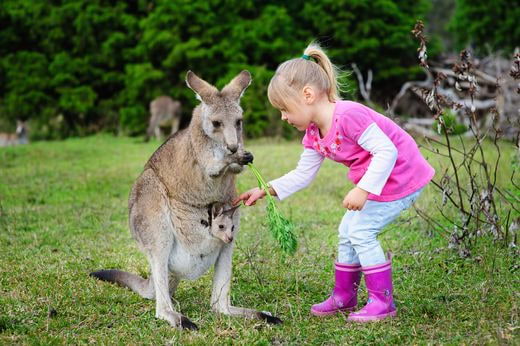 famille Australia