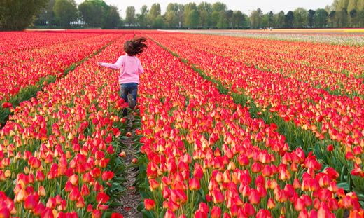 vacation famille The Netherlands