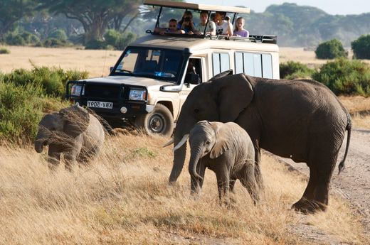 famille Kenya