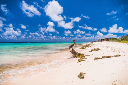 vacation noces Bonaire