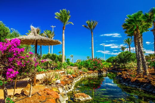 noces Canary Islands