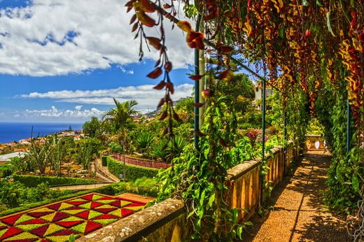 vacation noces Madeira