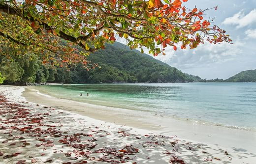 vacation noces Seychelles