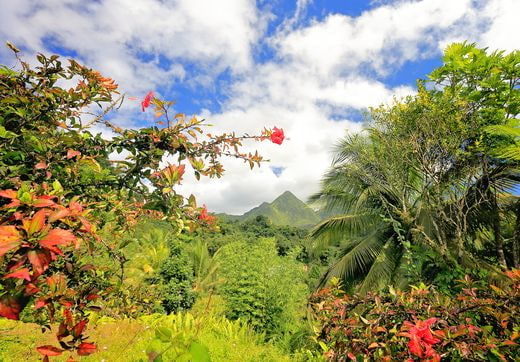 randonnee Martinique