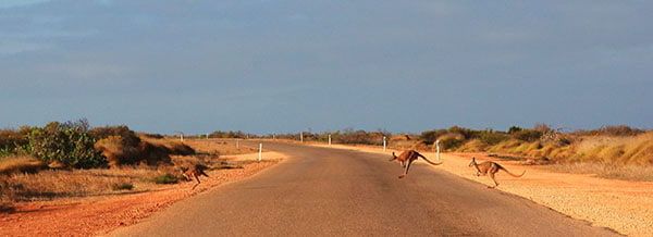 safari destinations