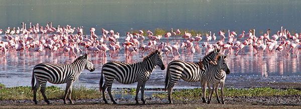 safari destinations