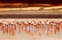 Kenya