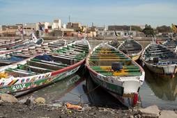 Senegal