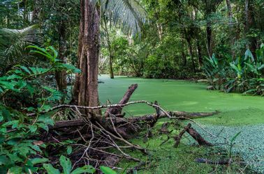 Le parc national Madidi