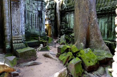 Le temple Ta Prohm