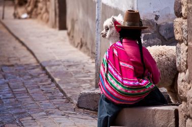 Lama