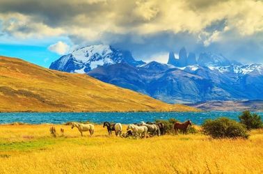 La Patagonie 