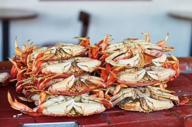 Crabe frais à Fisherman's Wharf, San Francisco