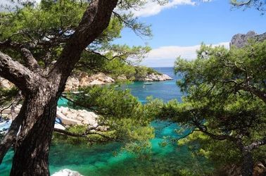 Les Calanques de Cassis