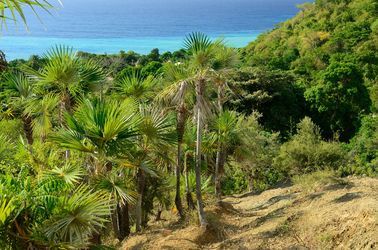 Le parc national de Sierra Maestra