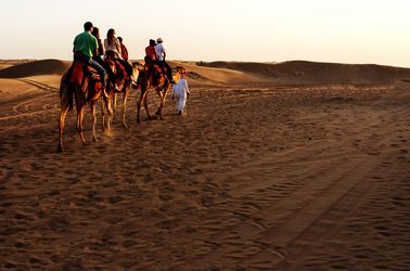Balade dans le Sahara 
