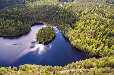 Le Parc national de Nuuksio