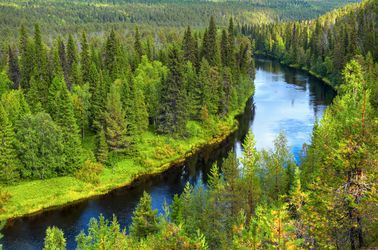 Le Parc national Oulanka