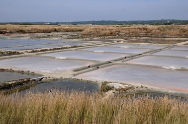 Les marais salants de Guérande