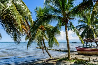 La plage de Livingston