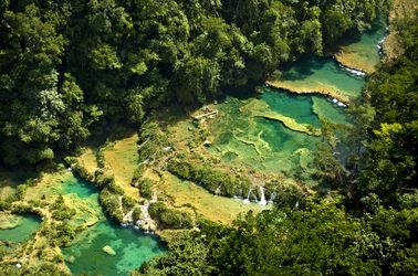 Les piscines naturelles de Semuc Champey