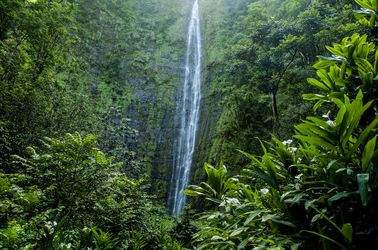 Le parc national de Haleakala