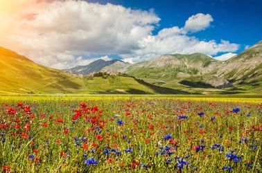 Umbria