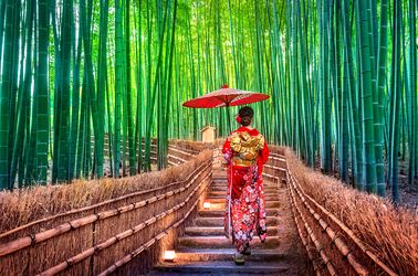 La forêt de bambous d'Arashiyama