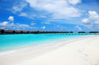 L'île Cocoa 