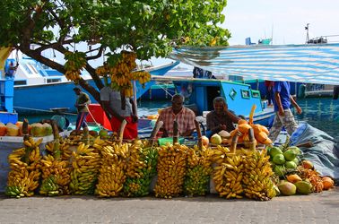 Vendeur de rue 