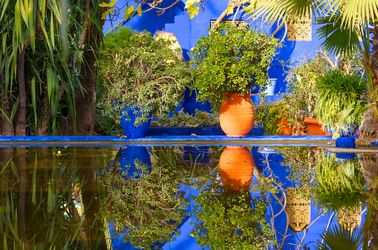 Le jardin Majorelle
